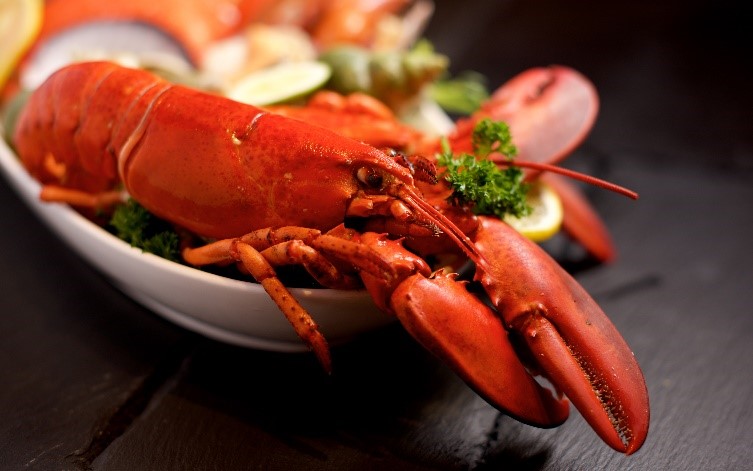 A History of Our National Love for Lobster