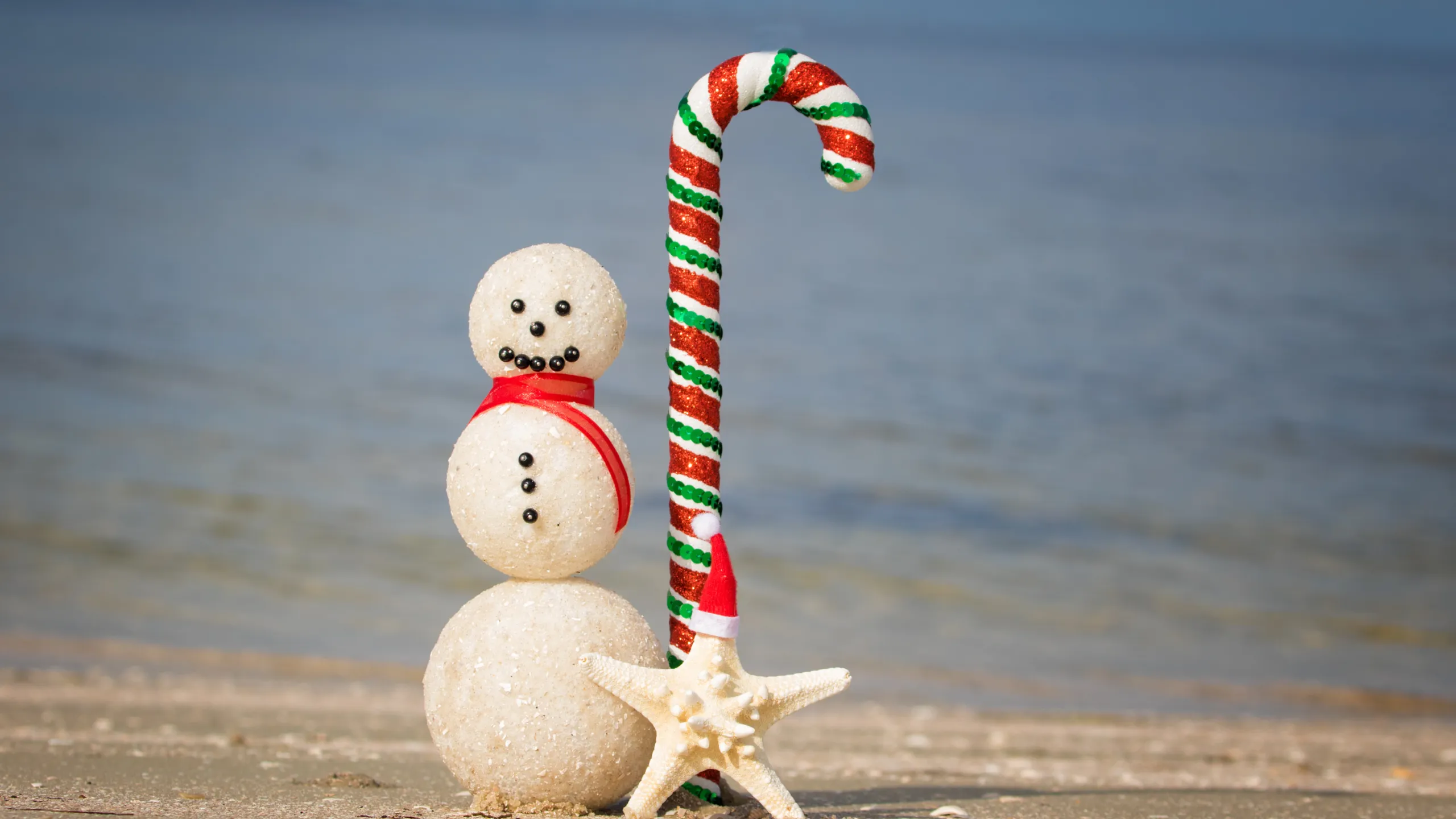 Our Stonewood Holiday Tour: Activities for the Family