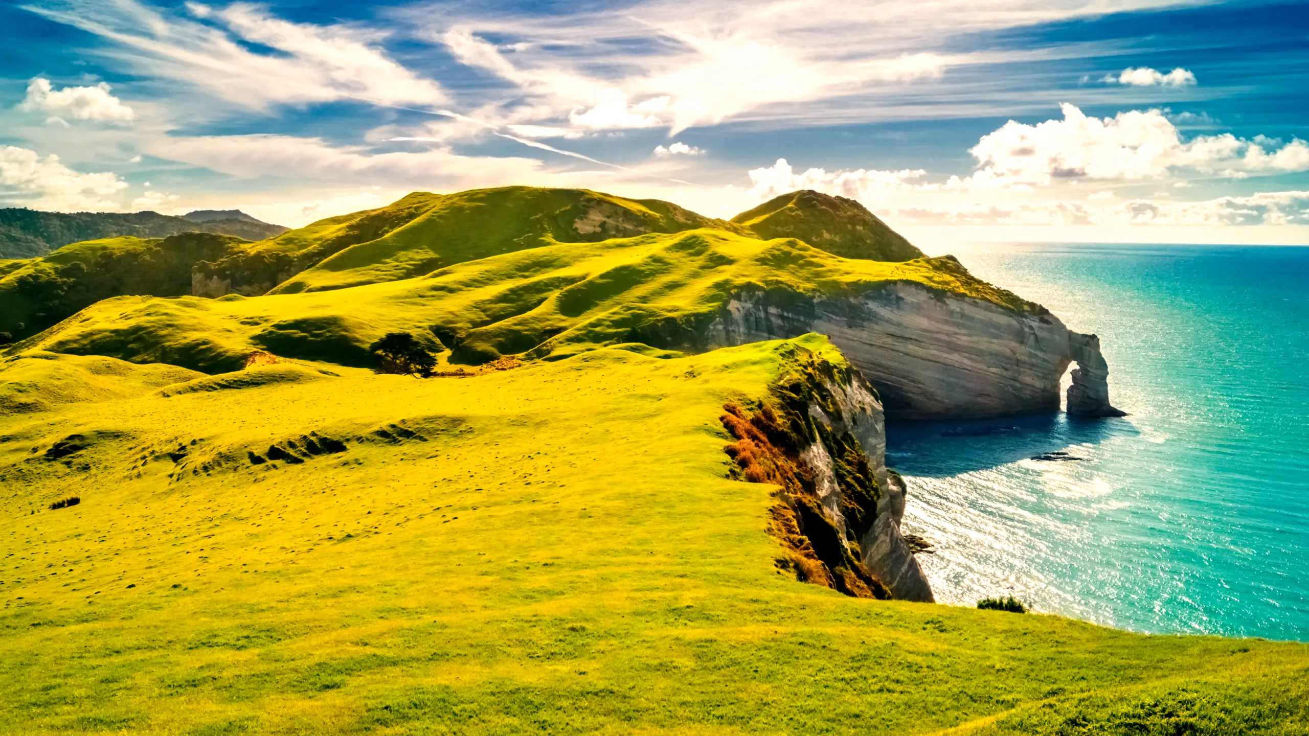 Where the Sunshine State Meets the Emerald Isle