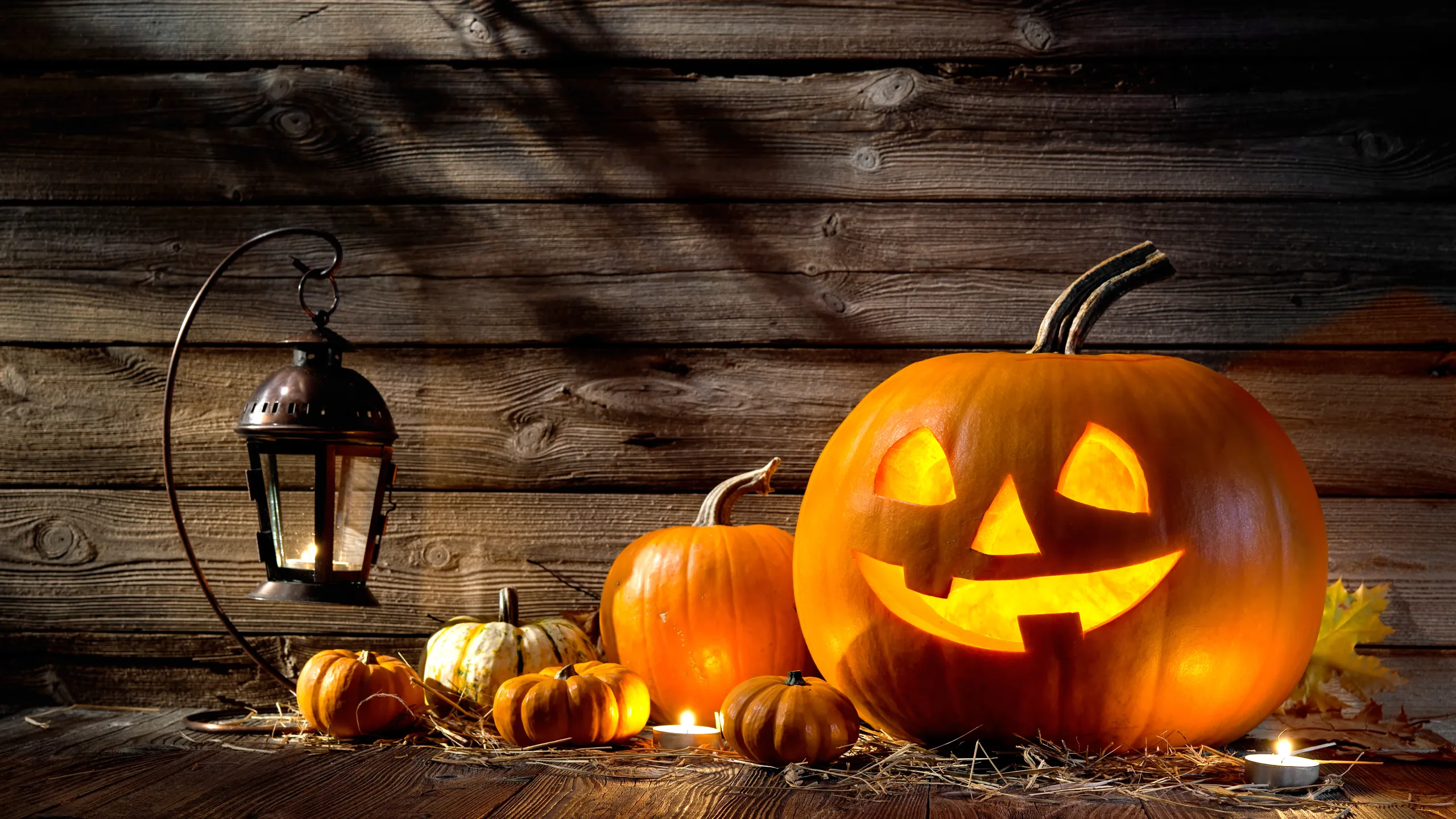 Happy Halloween, Stonewood Style