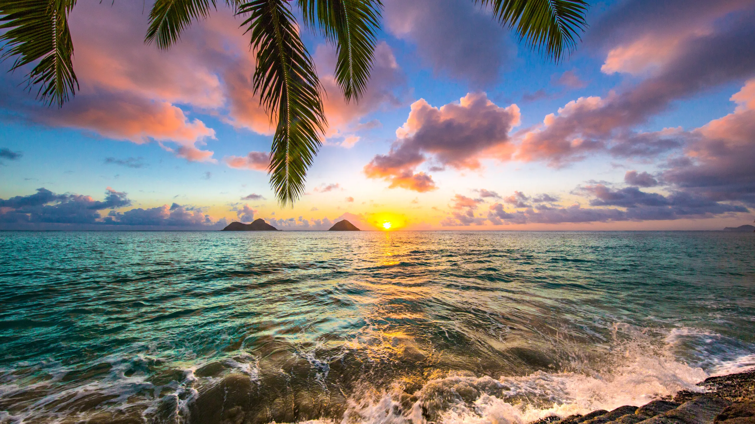 Aloha, Spring: A Foodie Trek Across Hawaii
