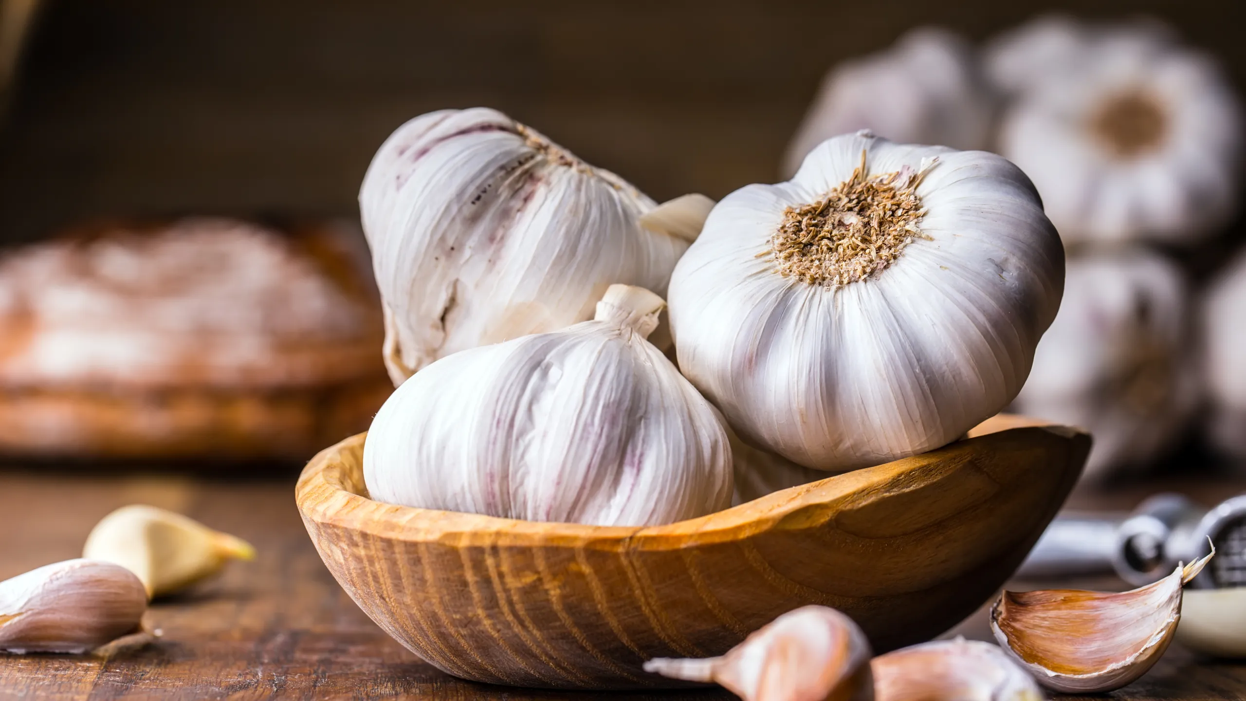 Gotta Have Garlic