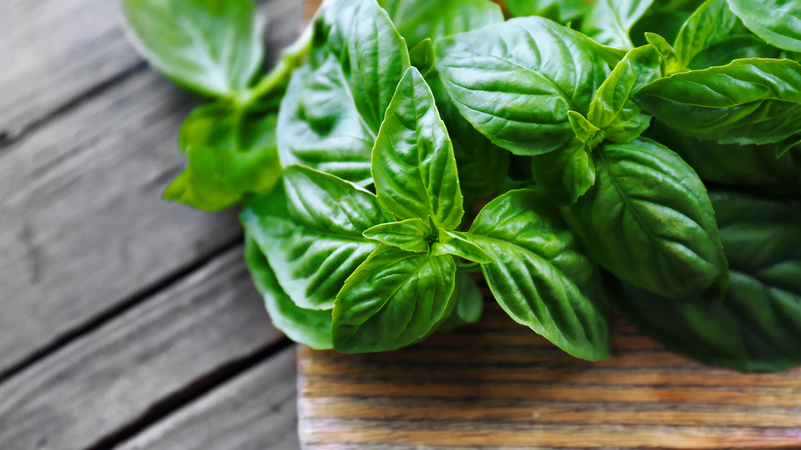 Why We Love Fresh Herbs