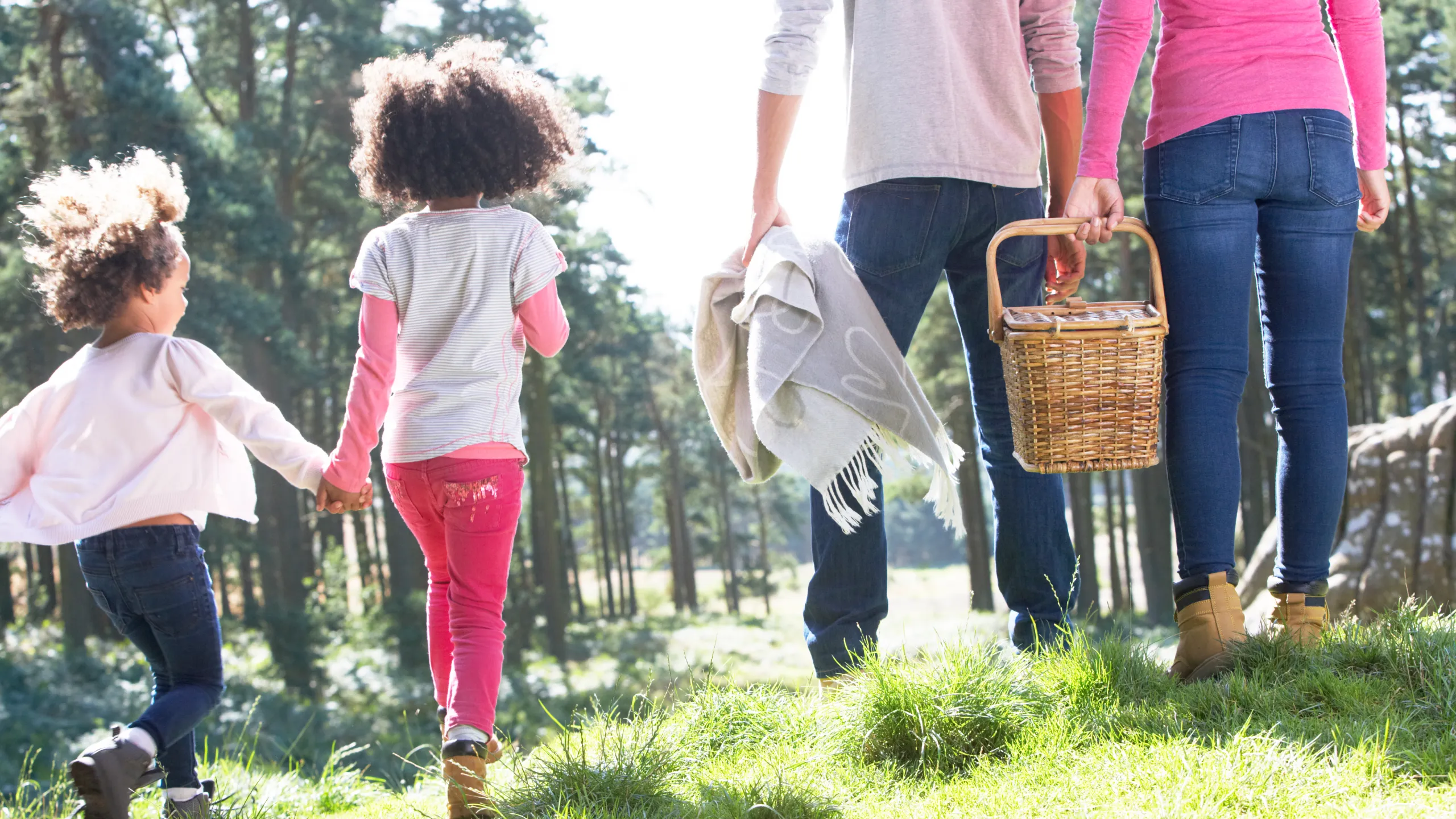 Top 8 Places Around Florida To Enjoy A Stonewood Picnic