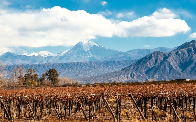 Discover Argentina’s Flavorful Flair