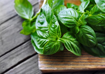 Why We Love Fresh Herbs