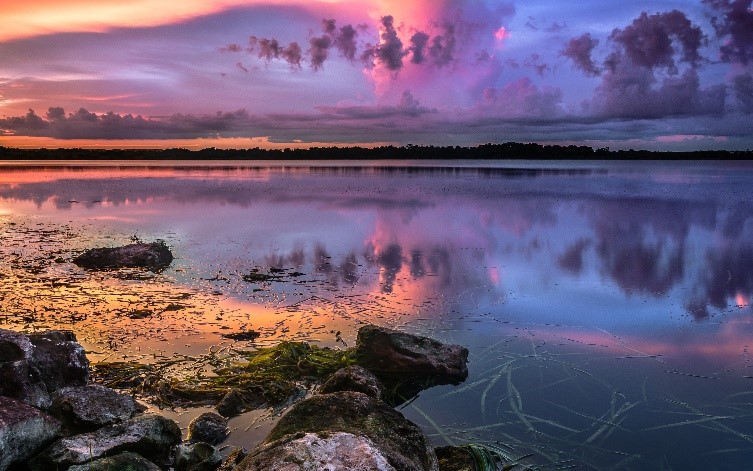 Exploring our Favorite Florida Fishing Spots